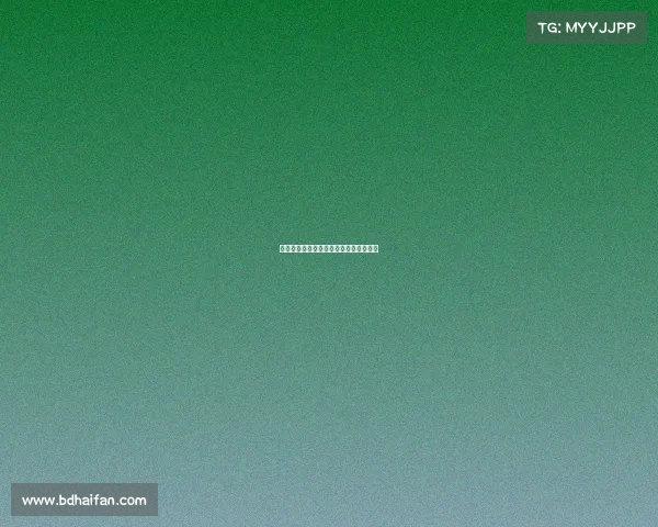 中超联赛激战正酣争冠保级悬念持续升级